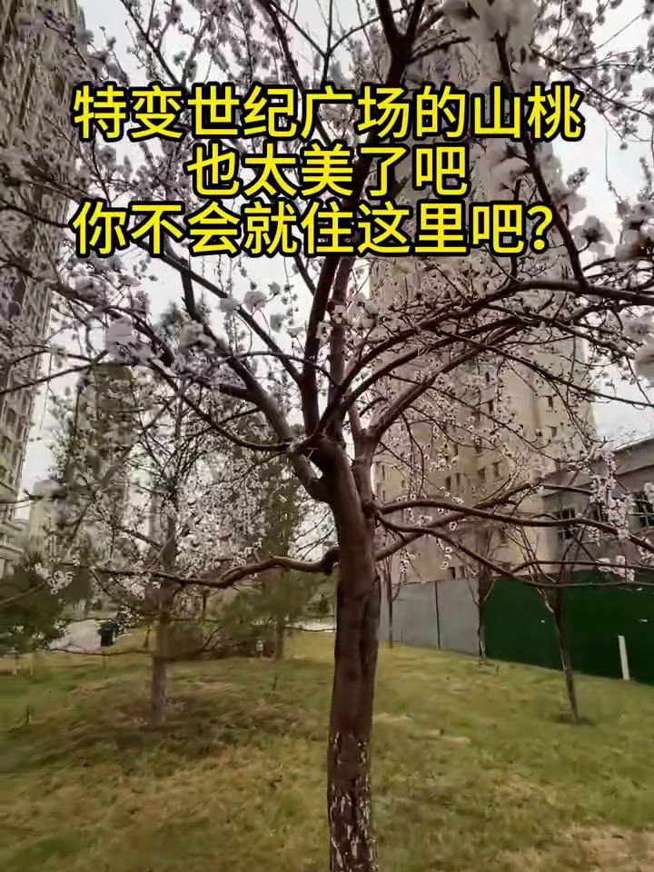 特变世纪广场开工现场1