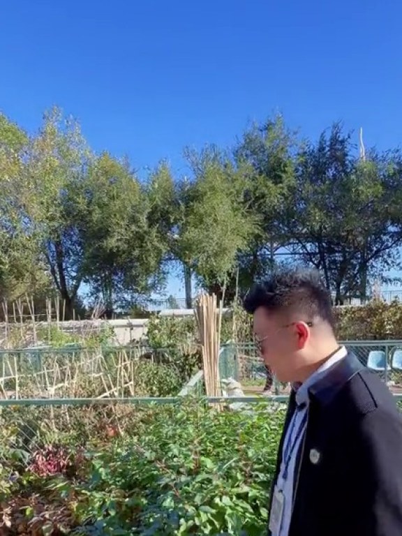 华洋幸福里小区业主菜园实景